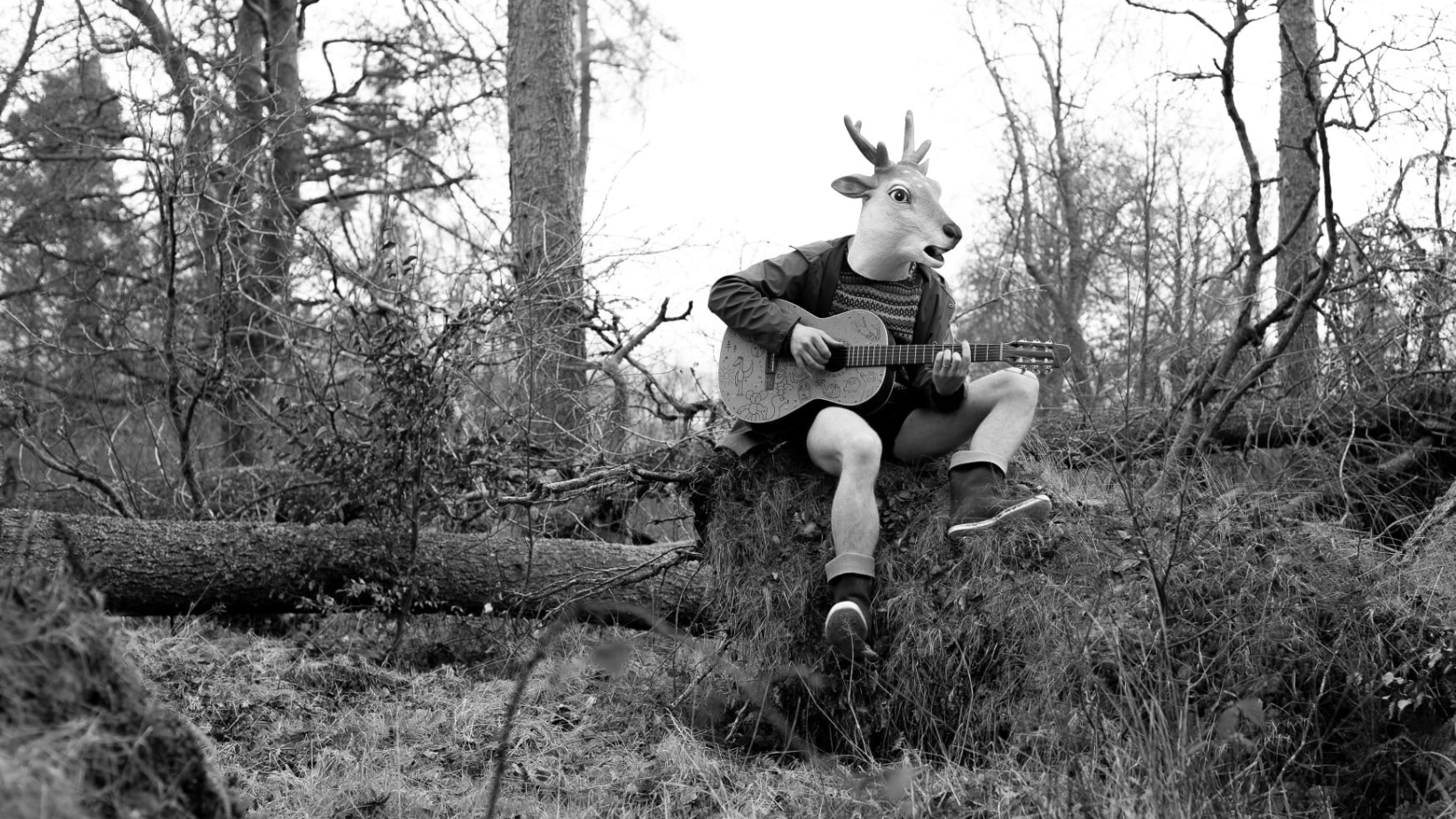 Beluga Lagoon - artist image